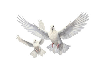 Fototapeta premium Two white doves are in flight, symbolizing peace and freedom. Great for logos, backgrounds, or designs promoting peace and unity