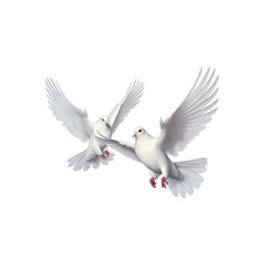Two white doves are in flight, symbolizing peace and freedom. Great for logos, backgrounds, or designs promoting peace and unity