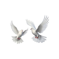 Obraz premium Two white doves are in flight, symbolizing peace and freedom. Great for logos, backgrounds, or designs promoting peace and unity