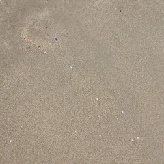 go to the seaside Take a walk along the smooth white sand beach.
