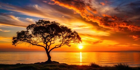 Beautiful sunset over the ocean, with a striking silhouette of a tree in the foreground, sunset, ocean, tree, beautiful, sky