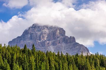 Majestic Mountain View in Crowsnest Pass, Alberta Surrounded by Lush Pine Forest and Dramatic...