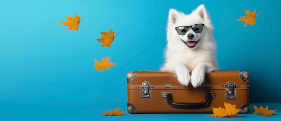 A cute Samoyed dog wearing sunglasses, with its paws folded on a large suitcase, set against a blue...