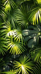 Lush green palm leaves