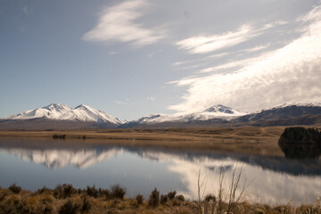 Grassy foreshore on the edge of Lake Clearwater beneath the southern alps in Hakatere conservation...