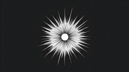 Abstract Black and White Starburst Pattern