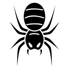 spider web glyph icon