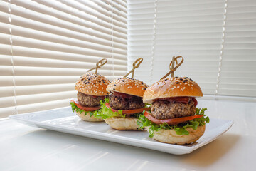Homemade burger slider - white background