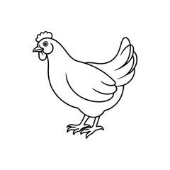 Chicken Icon Design. Flat Graphic and Hen Line Art Template
