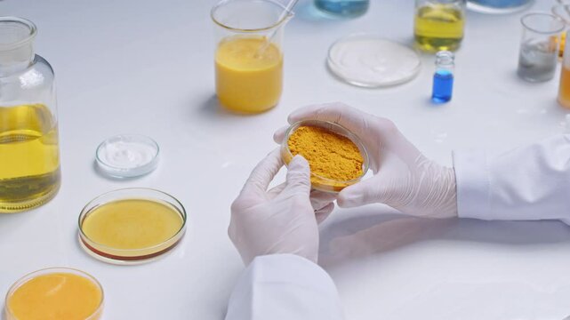 Laboratory setting features a researcher observes a petri dish containing turmeric yellow chemical powder, surrounded by vials and petri dishes containing various solutions from liquid to cream
