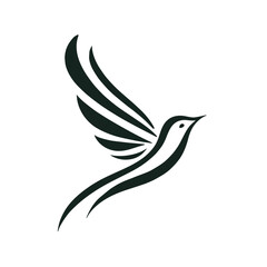 Bird logo design vector illustration