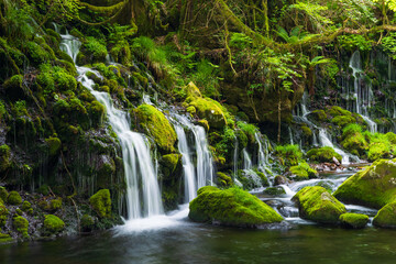 日本の風景・春　秋田県にかほ市　新緑の元滝伏流水