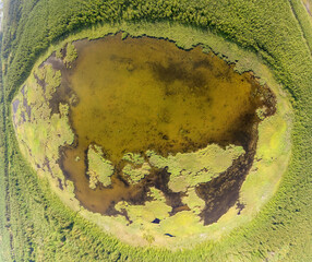 Aerial view of lake or river green shore with forest. Summer season.