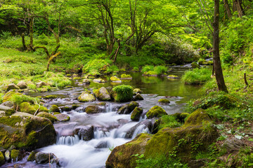 日本の風景・春　秋田県にかほ市　新緑の元滝伏流水