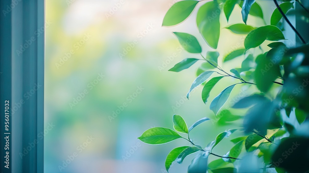 Poster blur background of close up of a window with green leaves outside. window view of tree leave and blu