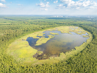 Aerial view of lake or river green shore with forest. Summer season. © Dmitrii Potashkin