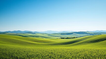 Obraz premium A scenic view of rolling green hills under a clear blue sky 