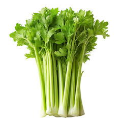 Fresh Green Celery Stalks with Transparent Background, Healthy Vegetable with Crunchy Texture
