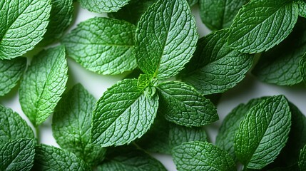 An overhead view of spearmint leaves falling in slow motion, their vibrant green colors contrasting sharply with the white background.