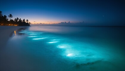Obraz premium Bioluminescent Beaches (Various locations): Some beaches around the world, like Mosquito Bay in Vieques, Puerto Rico, 