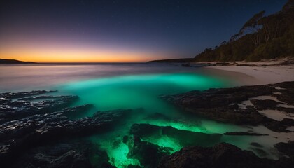 Fototapeta premium Bioluminescent Beaches (Various locations): Some beaches around the world, like Mosquito Bay in Vieques, Puerto Rico, 