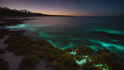 Fototapeta premium Bioluminescent Beaches (Various locations): Some beaches around the world, like Mosquito Bay in Vieques, Puerto Rico, 