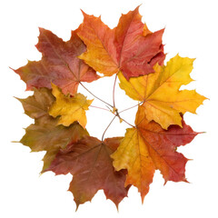 Obraz premium Wreath of autumn flowers and leaves, isolated on transparent background