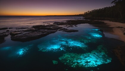 Naklejka premium Bioluminescent Beaches (Various locations): Some beaches around the world, like Mosquito Bay in Vieques, Puerto Rico, 