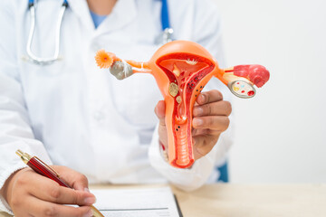 A female doctor sits at a desk in a hospital. She explains about uterine conditions such as...