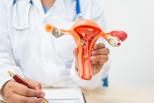 A female doctor sits at a desk in a hospital. She explains about uterine conditions such as endometriosis, uterine fibroids, and cervical cancer, and highlights causes such as herpes, HPV, and HIV.