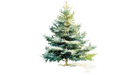 Obraz premium Watercolor Christmas tree traditional on transparent background, png 