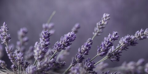 Lavender tinted digital concrete background.