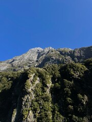Rocky Mountain Edge With Beautiful Greenery 