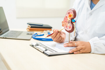  A female doctor works at a desk in a hospital, discussing kidney failure and chronic kidney...