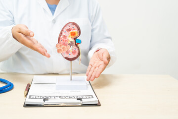  A female doctor works at a desk in a hospital, discussing kidney failure and chronic kidney...