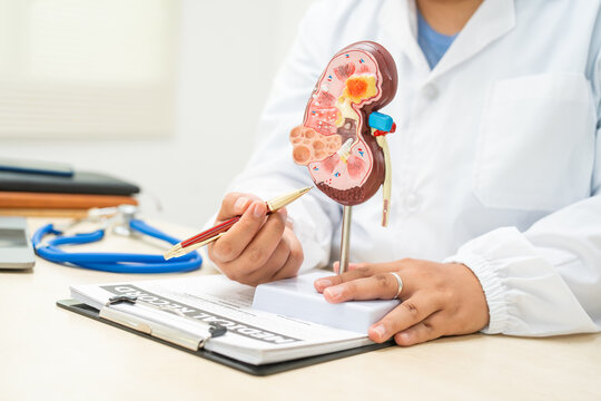  A female doctor works at a desk in a hospital, discussing kidney failure and chronic kidney disease. She explains how kidney dysfunction leads to fluid imbalance, waste accumulation, other health