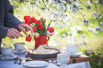 breakfast in the spring garden