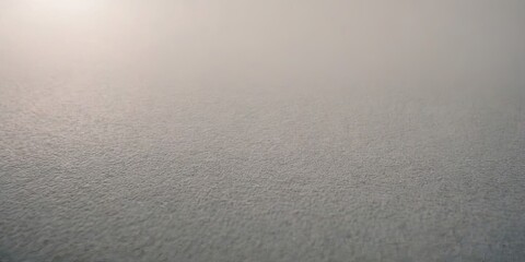 Fototapeta premium gray surface with texture
