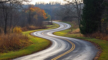 Fototapeta premium Winding road