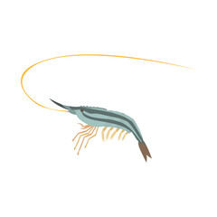 ホッカイエビ（シマエビ）。フラットなベクターイラスト。
Hokkai shrimp. Flat vector illustration.
