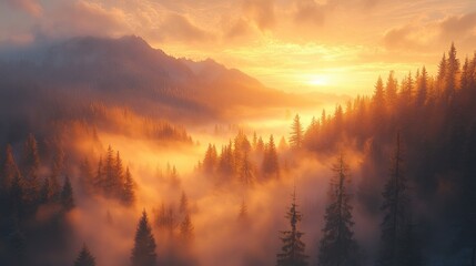 Golden sunrise illuminating foggy mountain forest landscape