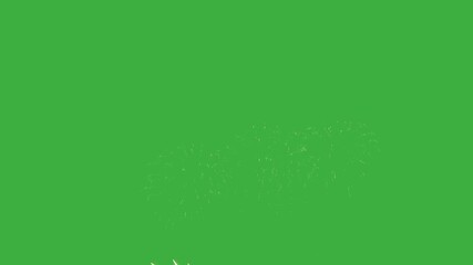 Experience breathtaking fireworks illuminating the night sky as vibrant bursts of color create a captivating display perfect for celebrations and announcements