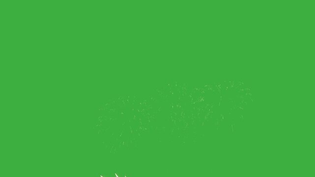 Experience breathtaking fireworks illuminating the night sky as vibrant bursts of color create a captivating display perfect for celebrations and announcements