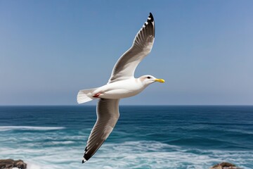 Fototapeta premium Majestic Seagull Flying Over the Ocean Waves