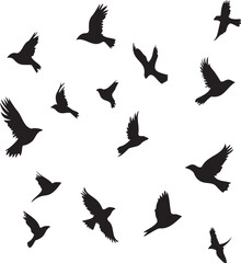 Set of black birds silhouette vector black birds