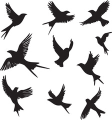 Set of black birds silhouette vector black birds