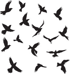 Set of black birds silhouette vector black birds