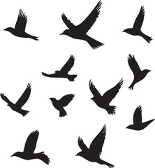 Set of black birds silhouette vector black birds