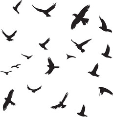 Set of black birds silhouette vector black birds