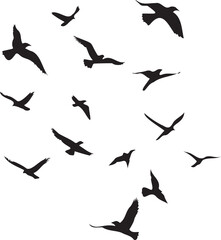 Set of black birds silhouette vector black birds